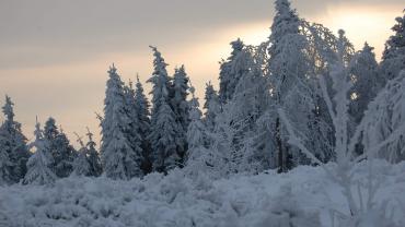 272066223 4999050673466365 884322141504834443 N