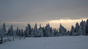 272070455 4999050800133019 2424800737759191203 N