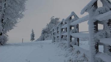 272081233 4999051340132965 4436595703308423579 N