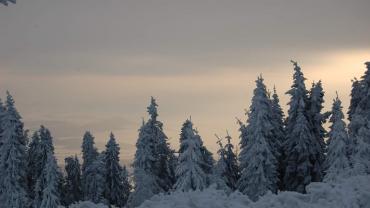 272087127 4999050560133043 4341012922718296938 N