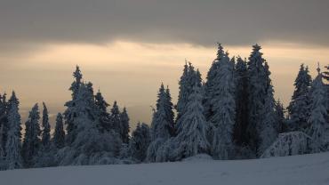 272094566 4999050390133060 5108804507924108596 N