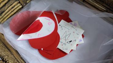 274580074 5148264295211668 7827092630116468427 N