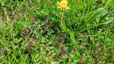 278570855 5290785340959562 2759407241164154826 N