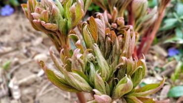 278571162 5290784294293000 5769798394101836972 N