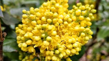 278571697 5290784507626312 1093394626146536342 N