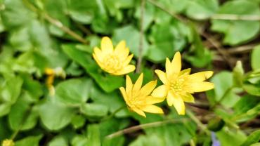 278577612 5290783840959712 2988299932811068093 N