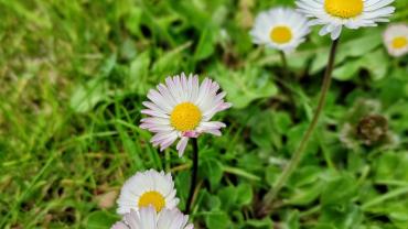 278735870 5290784894292940 8585377135756664525 N