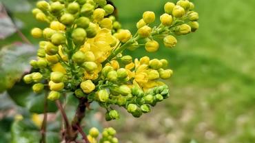 278906197 5290784680959628 4668121126667970833 N