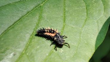 283317220 5410381658999929 5662125639788624864 N