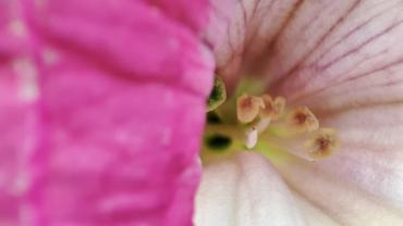 283490171 5410381852333243 2236746196238277421 N