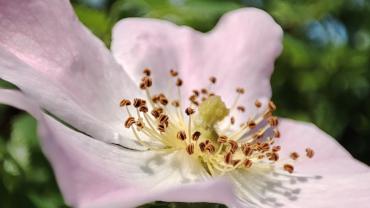 286281387 5410381425666619 8892459058724812268 N