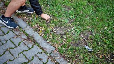 310556792 538422224953025 5671757084477518498 N