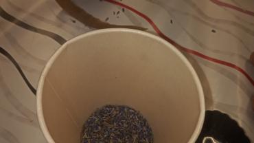 310545898 5476415919091810 8130818966554900899 N