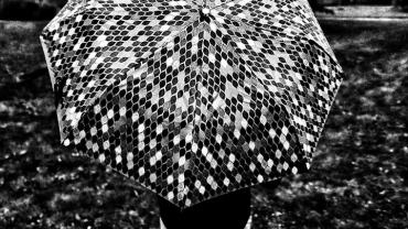 311591192 553193936809187 4965017542520373965 N