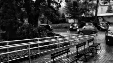 311685501 553194090142505 8873475531003189768 N