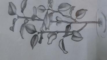 Pracowania Art.archiwum 89