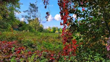 311571999 553586860103228 7932346017602130563 N