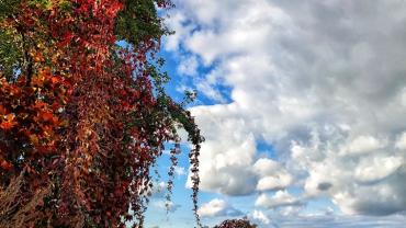 311702712 553586580103256 209339383290082675 N