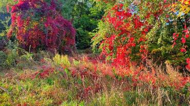 311736510 553586380103276 2297611504161926851 N