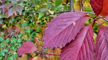 311792046 553586663436581 3609241957125165323 N