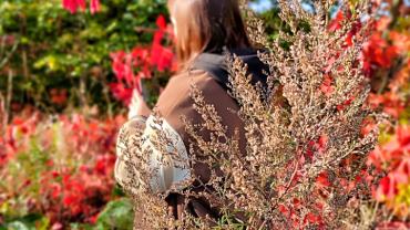 311980476 553586070103307 2892679425328073021 N