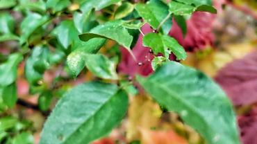 311983907 553586763436571 355215966477568169 N