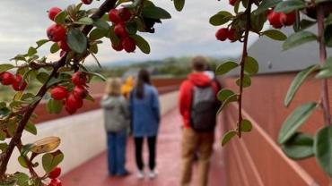 311979835 557089866419594 8753894494578149491 N