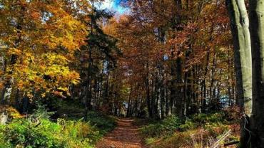 312611510 559797902815457 2893017064581714708 N