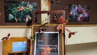 315316315 579260044202576 8654473819830657412 N