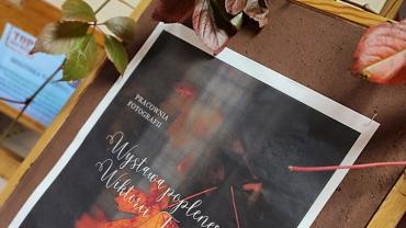 316173313 579260114202569 2403576291006855691 N