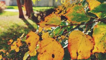 316124362 581380807323833 7386929691807711511 N