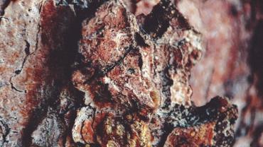 316157628 581380377323876 761654674871316198 N