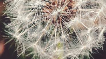 316175877 581380953990485 6510287013278575634 N