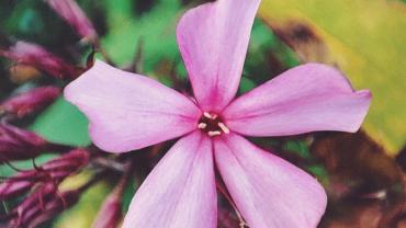 316214155 581380990657148 2348962300036948273 N