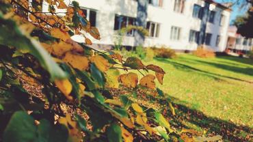 316218273 581380757323838 6193666243131272360 N