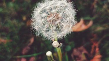 316274045 581380300657217 1937634220667358241 N