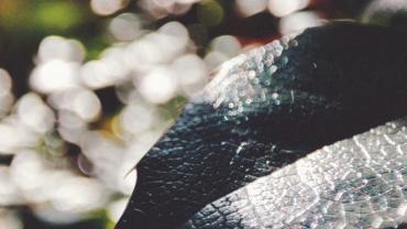 316280282 581380433990537 6129389251569587640 N