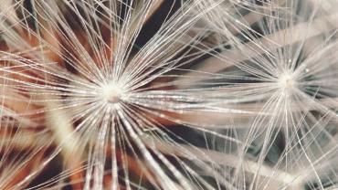 316291179 581380880657159 8349866230486316109 N