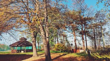 316313245 581380533990527 7333592256820829918 N