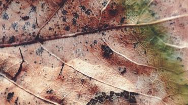 316409806 581380343990546 9194866575412825205 N