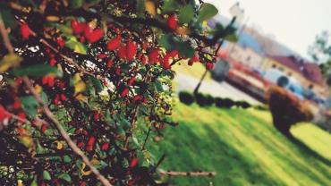 316410451 581380700657177 5770293137385498904 N