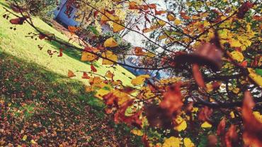 316410467 581380580657189 6723744940142057710 N