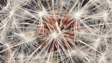 316410467 581380923990488 8611065040534703621 N