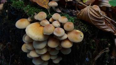 315907043 585712653557315 530928918540314100 N