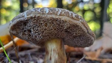 316413901 585713056890608 6890697347312201698 N