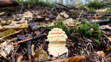 316523926 585713113557269 3473372766303296363 N