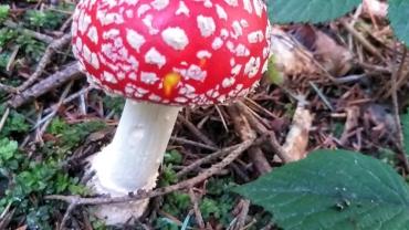 316545708 585712856890628 2194034720789857623 N