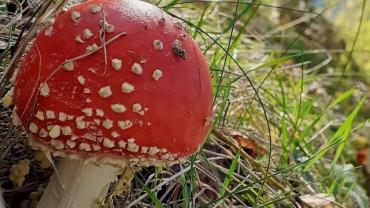 316550107 585713006890613 2669191940579570861 N