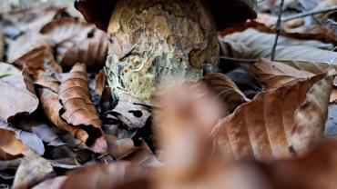 316687745 585712583557322 5237770403696266171 N