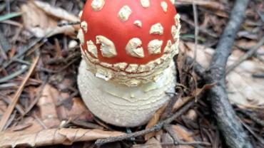 316808205 585713216890592 5898452214203963140 N